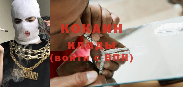 индика Кукмор