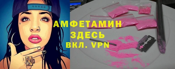 индика Кукмор