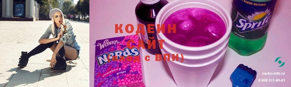 индика Кукмор