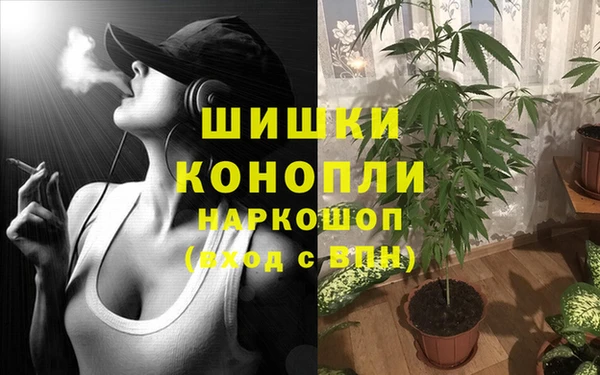 индика Кукмор