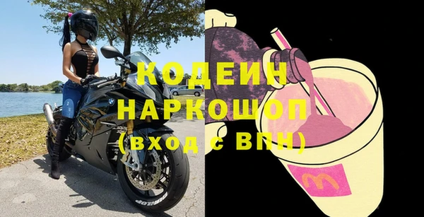 индика Кукмор