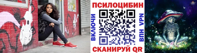 Купить  Аркадак  Псилоцибиновые грибы Psilocybine cubensis 